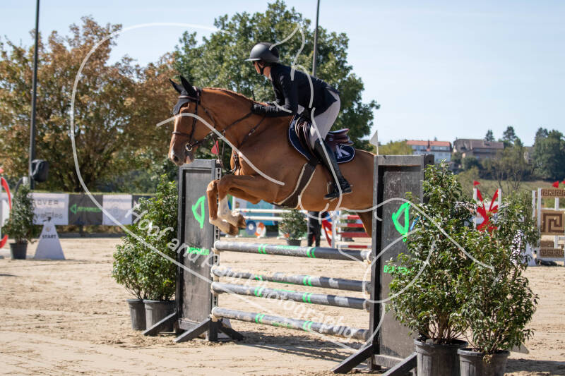 bouferterhaff-jumping-standard-f1bpwf.jpg