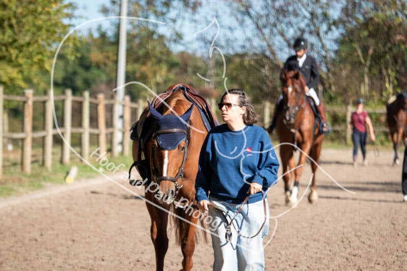 bouferterhaff-jumping-standard-jtds96.jpg