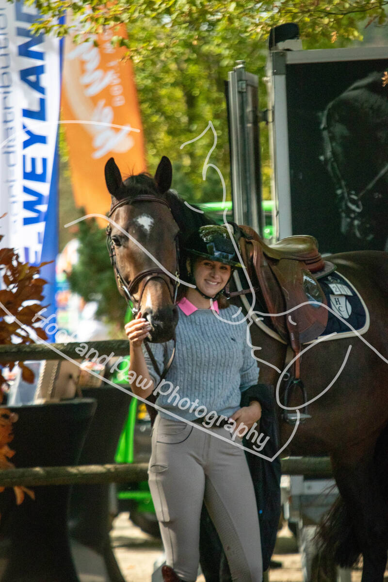bouferterhaff-jumping-standard-kupnwe.jpg