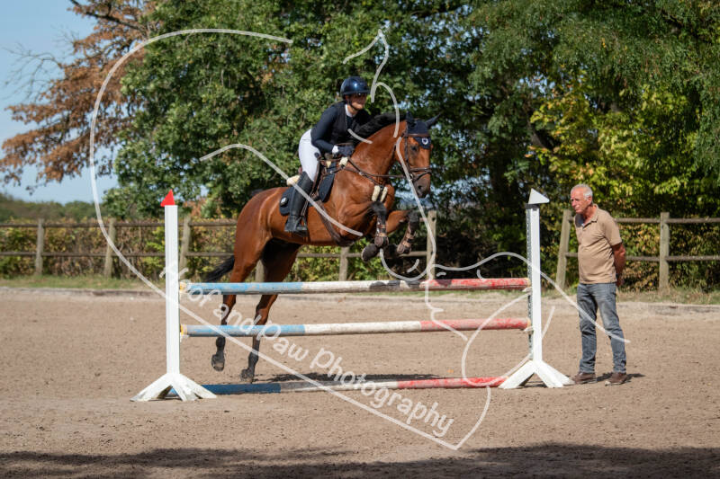 bouferterhaff-jumping-standard-n5o00q.jpg