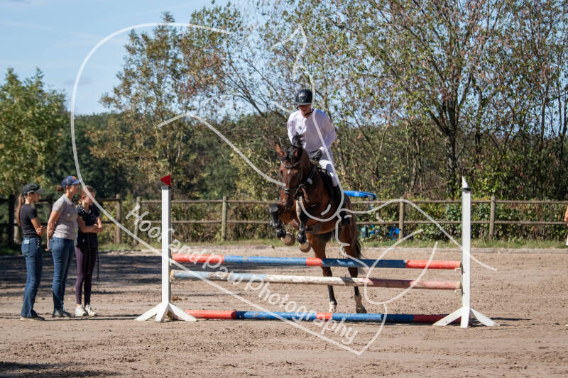 bouferterhaff-jumping-standard-ngkyqk.jpg
