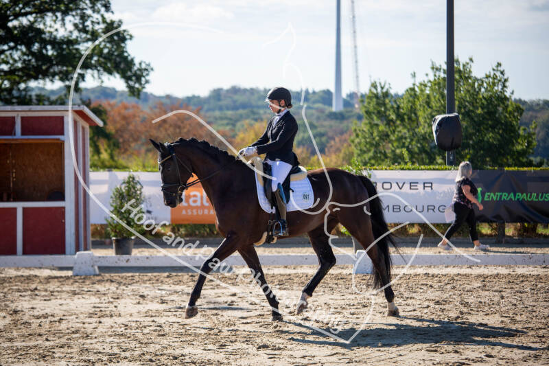 bouferterhaff-jumping-standard-pmox8r.jpg