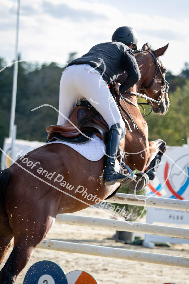 bouferterhaff-jumping-standard-w7adlj.jpg