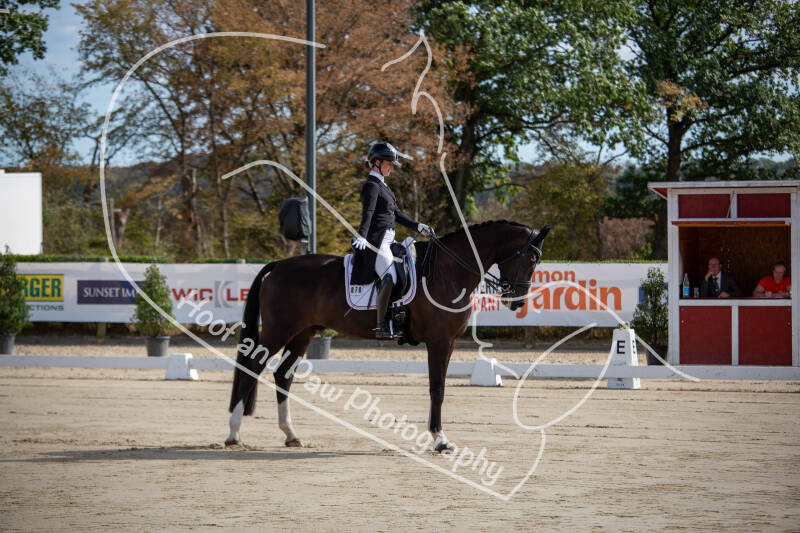 bouferterhaff-jumping-standard-y75wqf.jpg