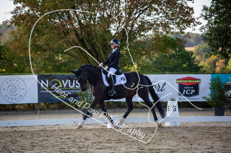 bouferterhaff-jumping-standard-zjdibc.jpg