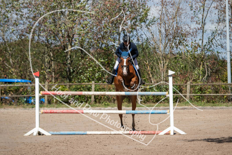 bouferterhaff-jumping-standard.jpg
