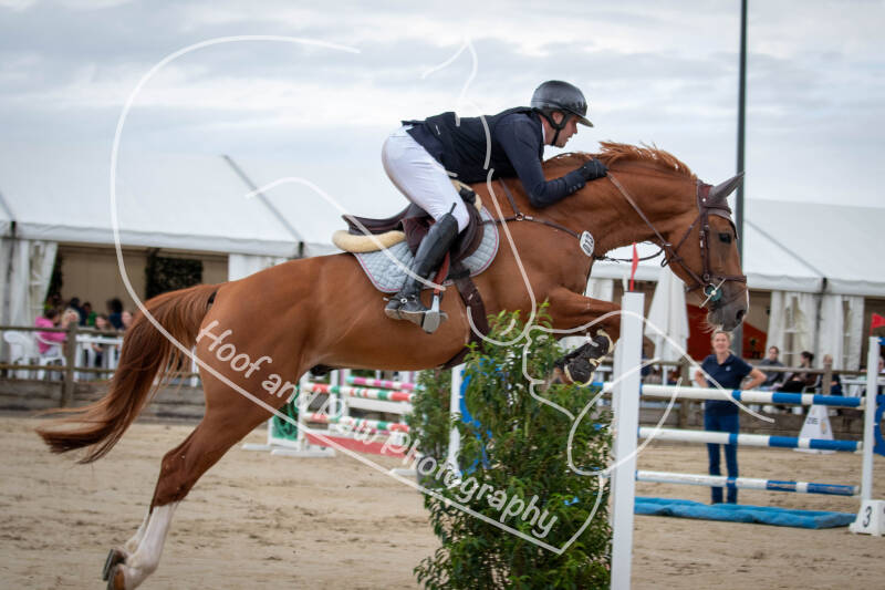 roeser06-06-26a-27-standard-ig8p67.jpg