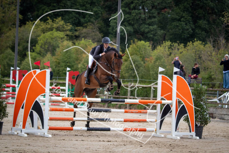 roeser06-06-26a-41-standard-4xu3pp.jpg