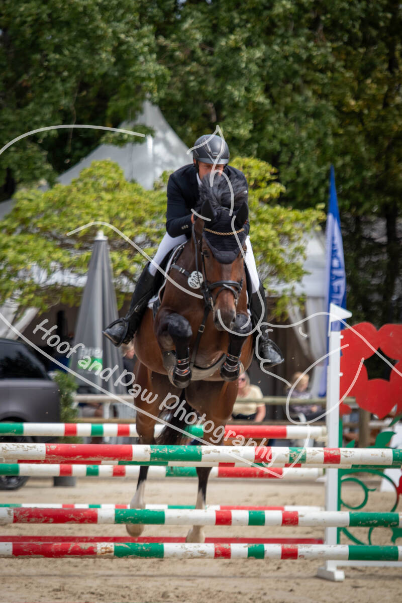 roeser06-06-26a-46-standard-7xqtzd.jpg