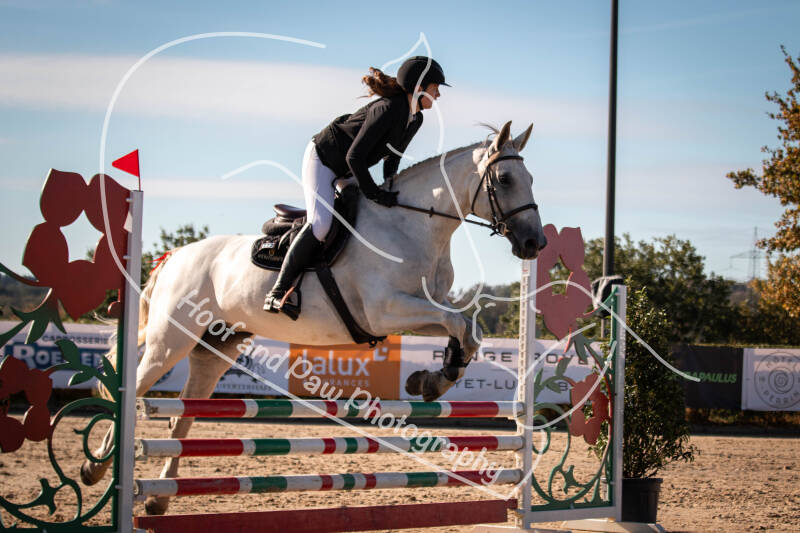 roeser06-06-26a-80-standard-v7lcfy.jpg