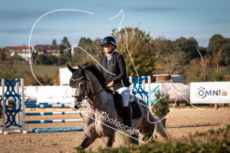 roeser06-06-26a-93-standard-olho9q.jpg