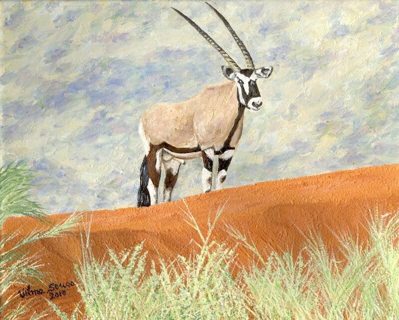 08_oryx-20x30-l-leinwand-standard.jpg