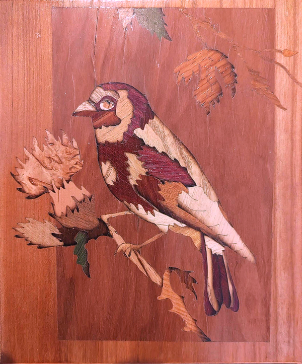 oiseau sur branche