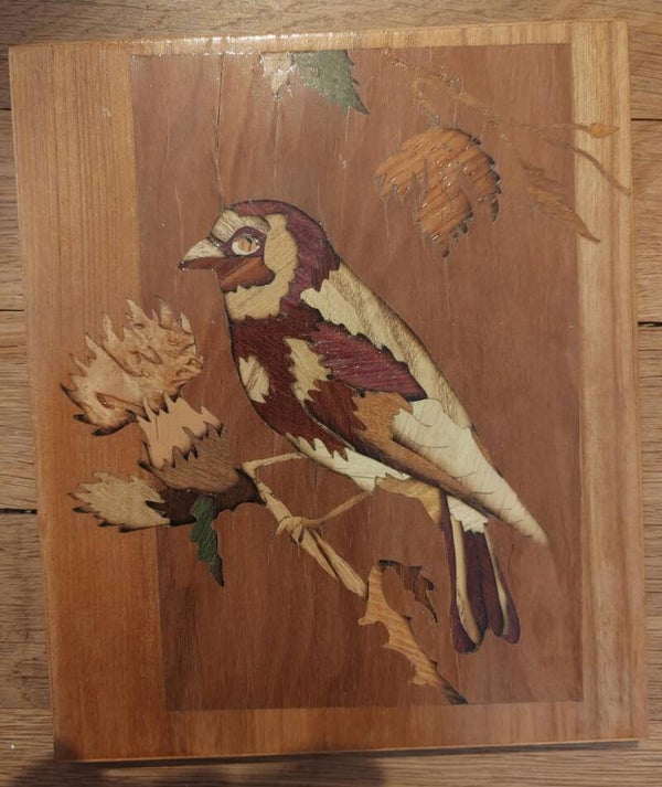 Oiseau