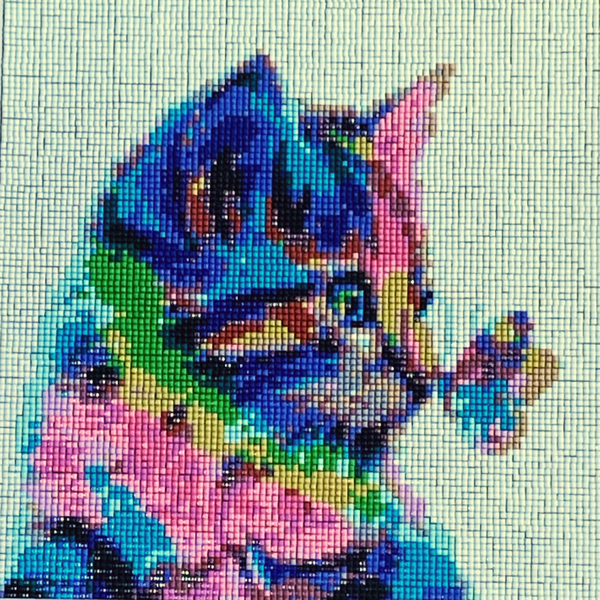 Toile chat multicolore