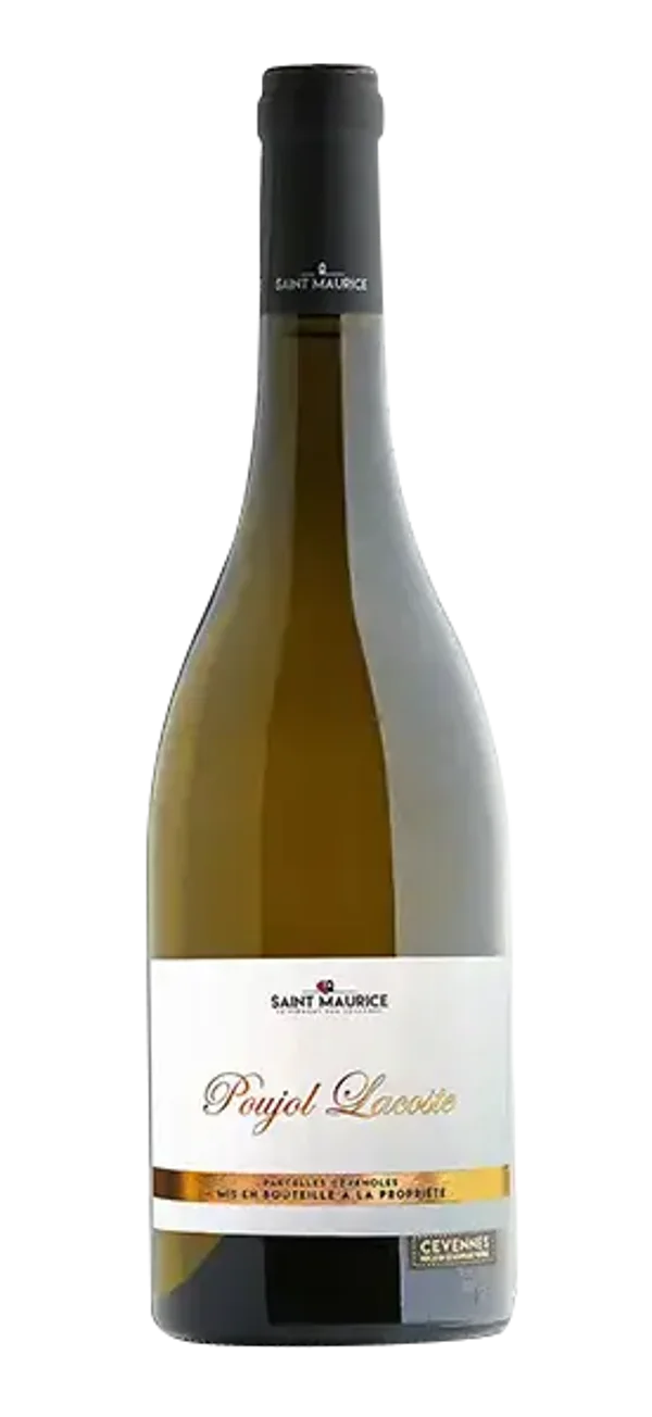 Poujol Lacoste Blanc