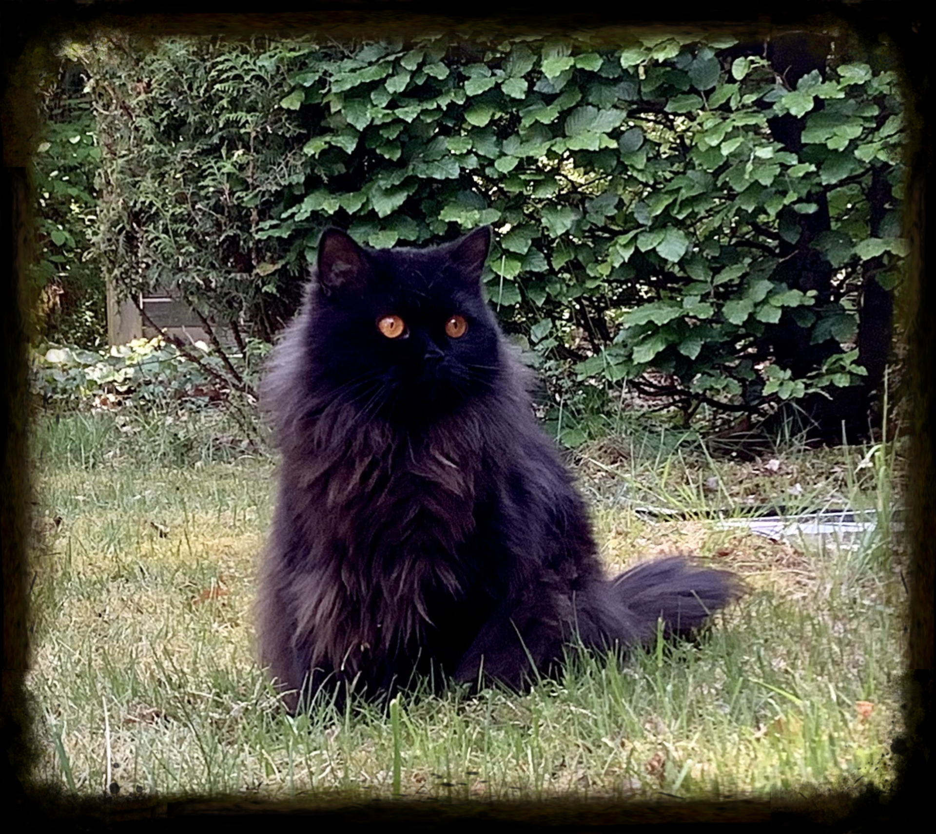 Mamma till vår C-kull