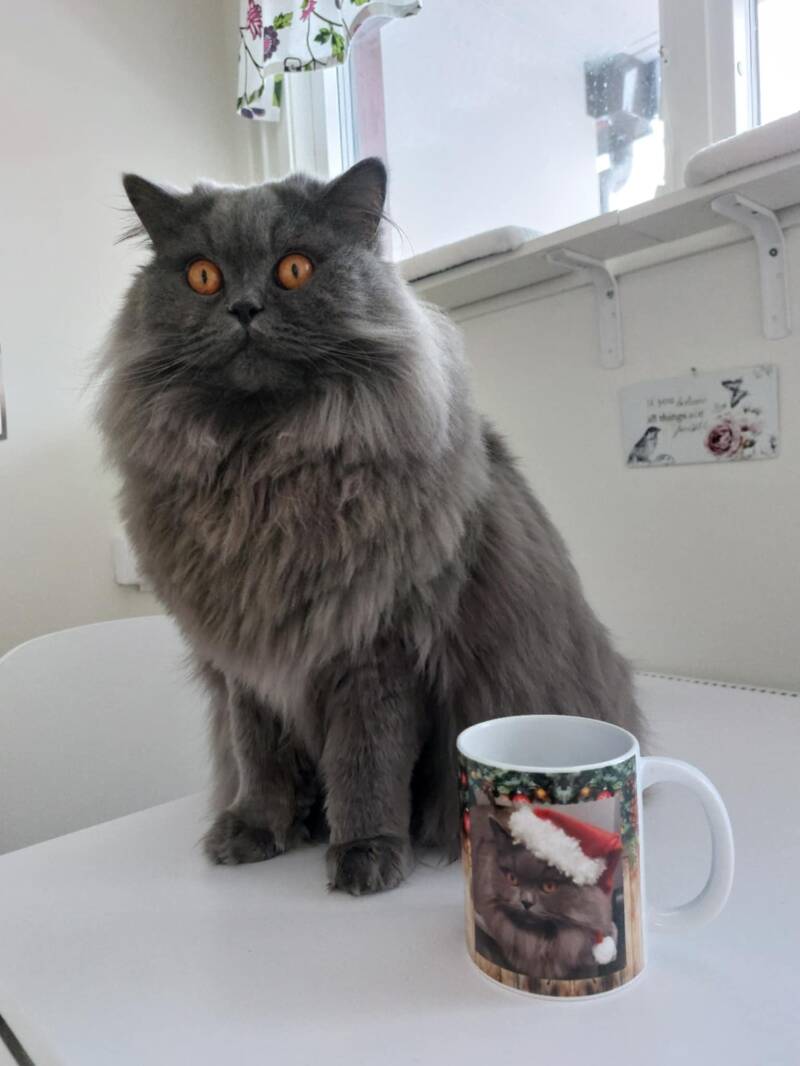 PR.SE*Amberglance Cosmos.jpg