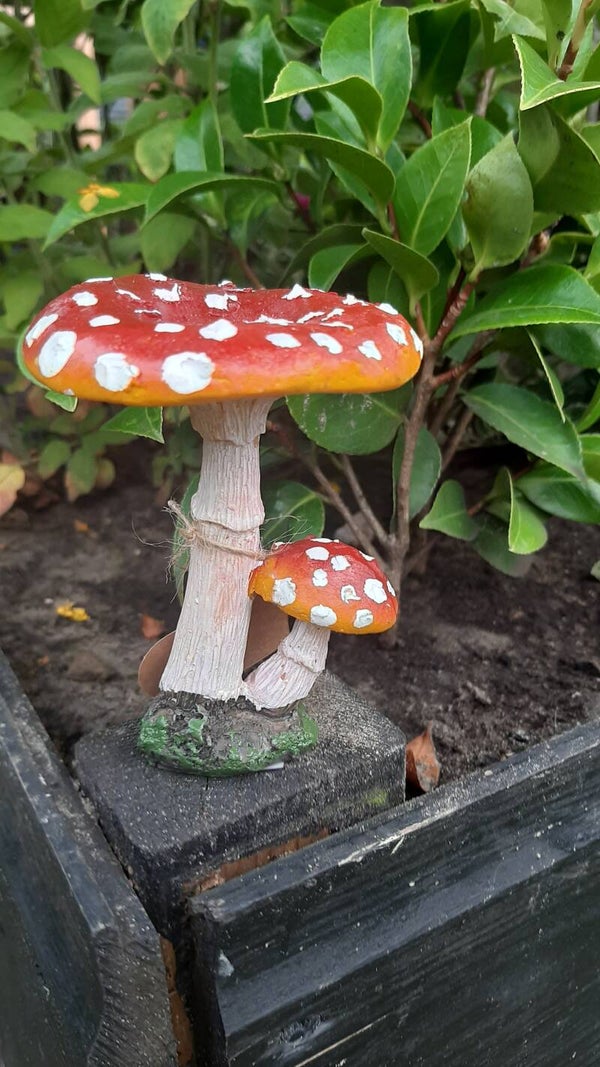 Beeldje 2 paddenstoelen