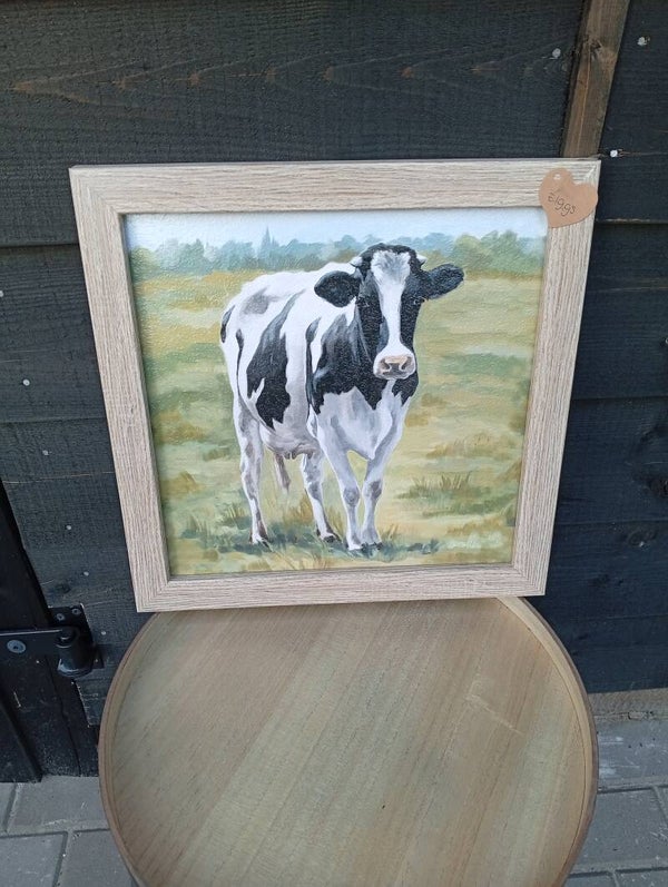 Schilderij zwartbonte koe 40x40cm