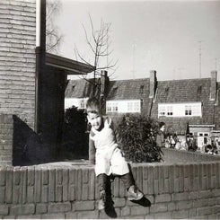 image003-standard-zddi1d.jpg