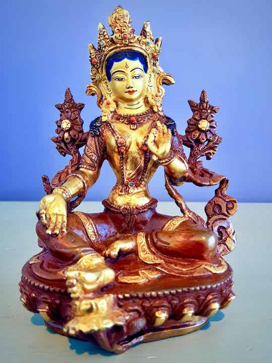 Groene Tara goldface 13,5 cm