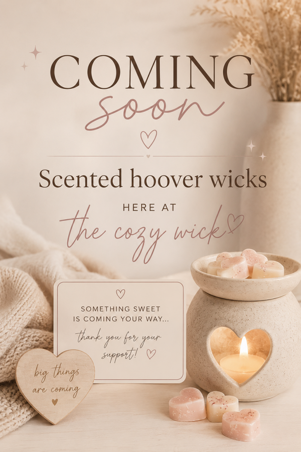 Scented hoover discs