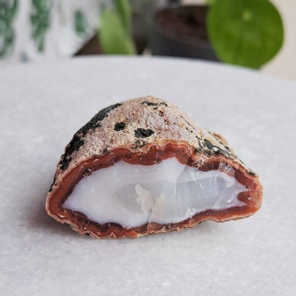 Ruwe carneool geode