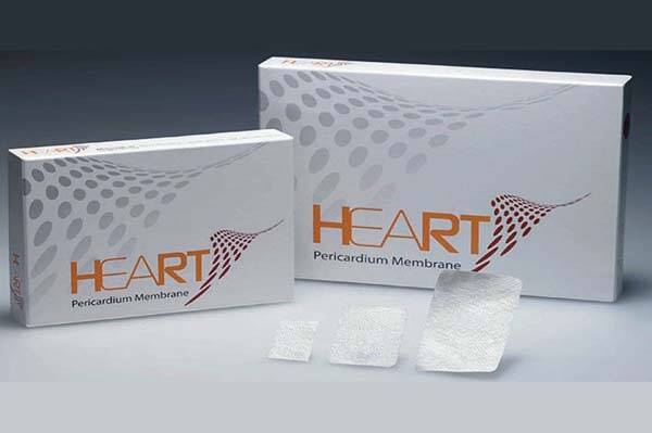 HEART membrana