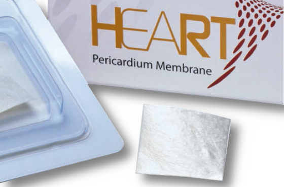 HEART membrana