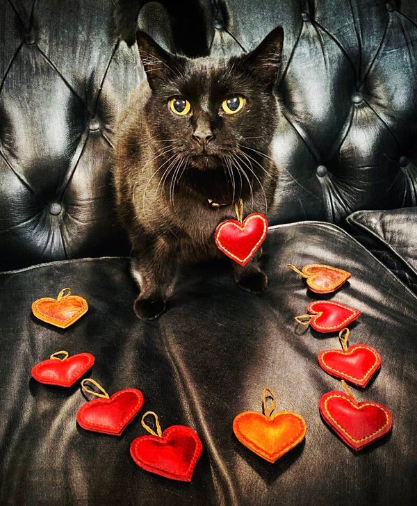 Hanger voor de allerliefste