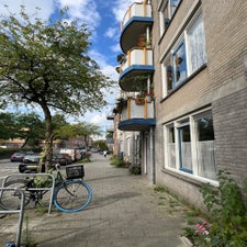 img_3157-3-standard-h415zn.jpg