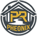 Pheonix roofing and guttering