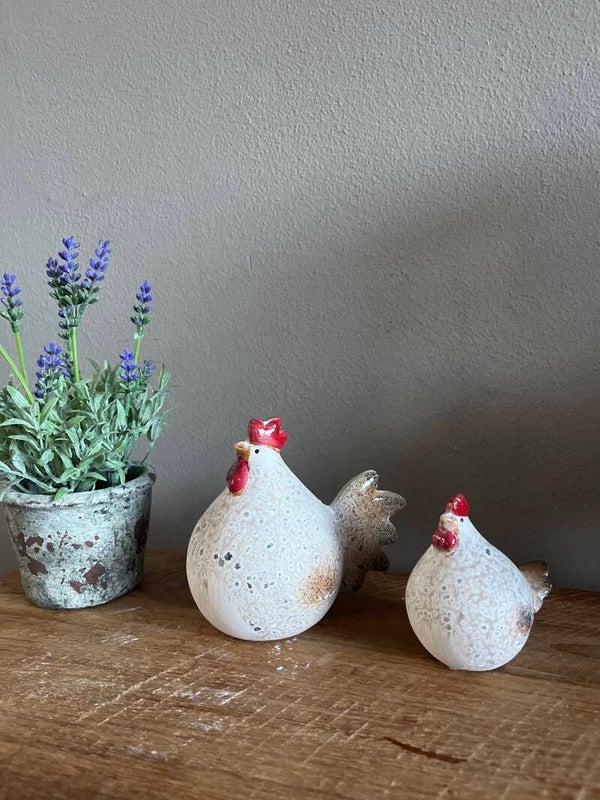 Stenen kipjes en Haan wit