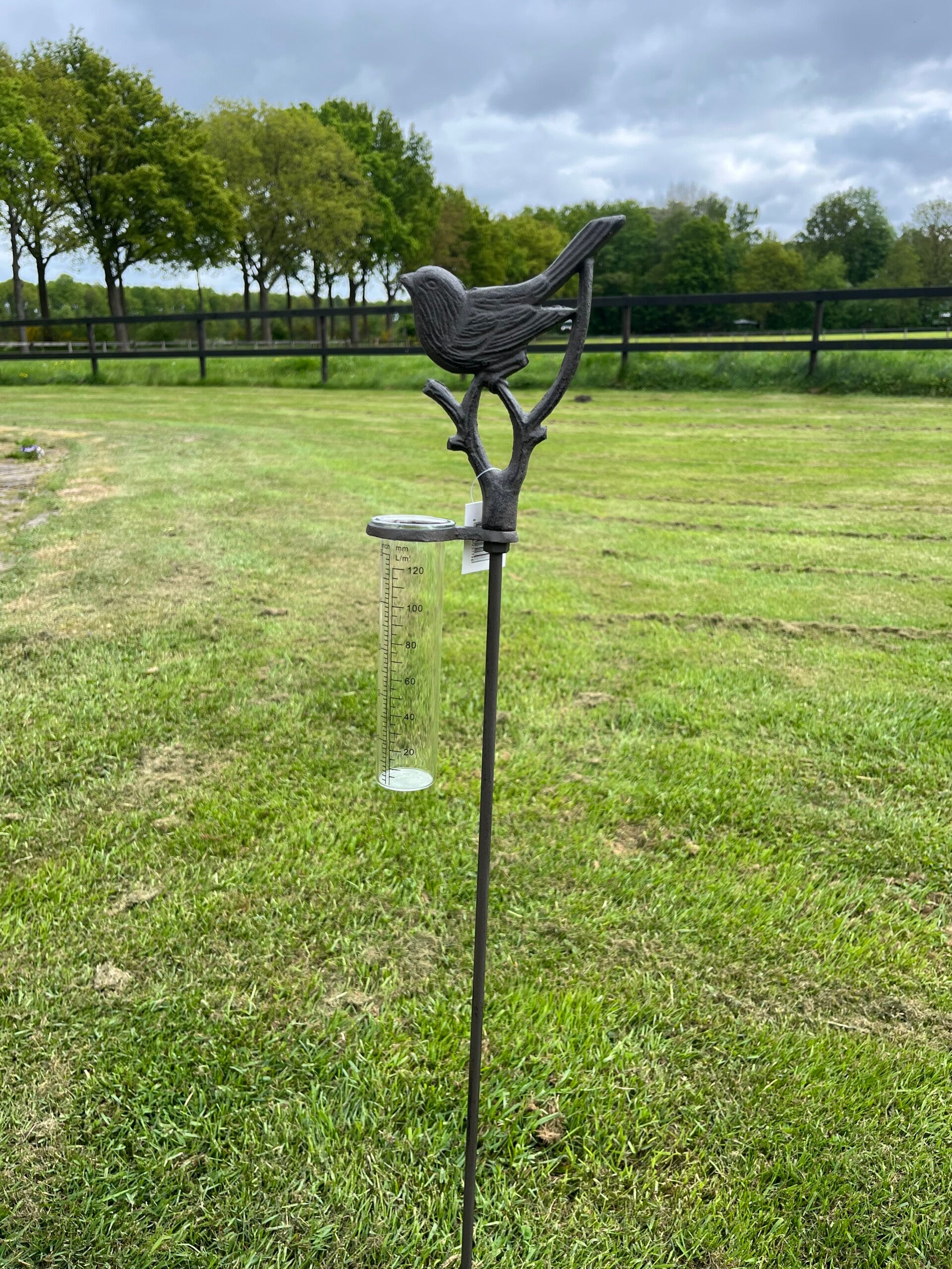 Regenmeter vogel