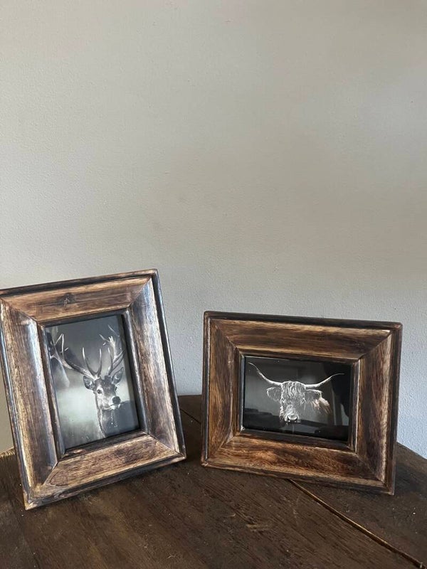 Schilderijtjes hert of hooglander