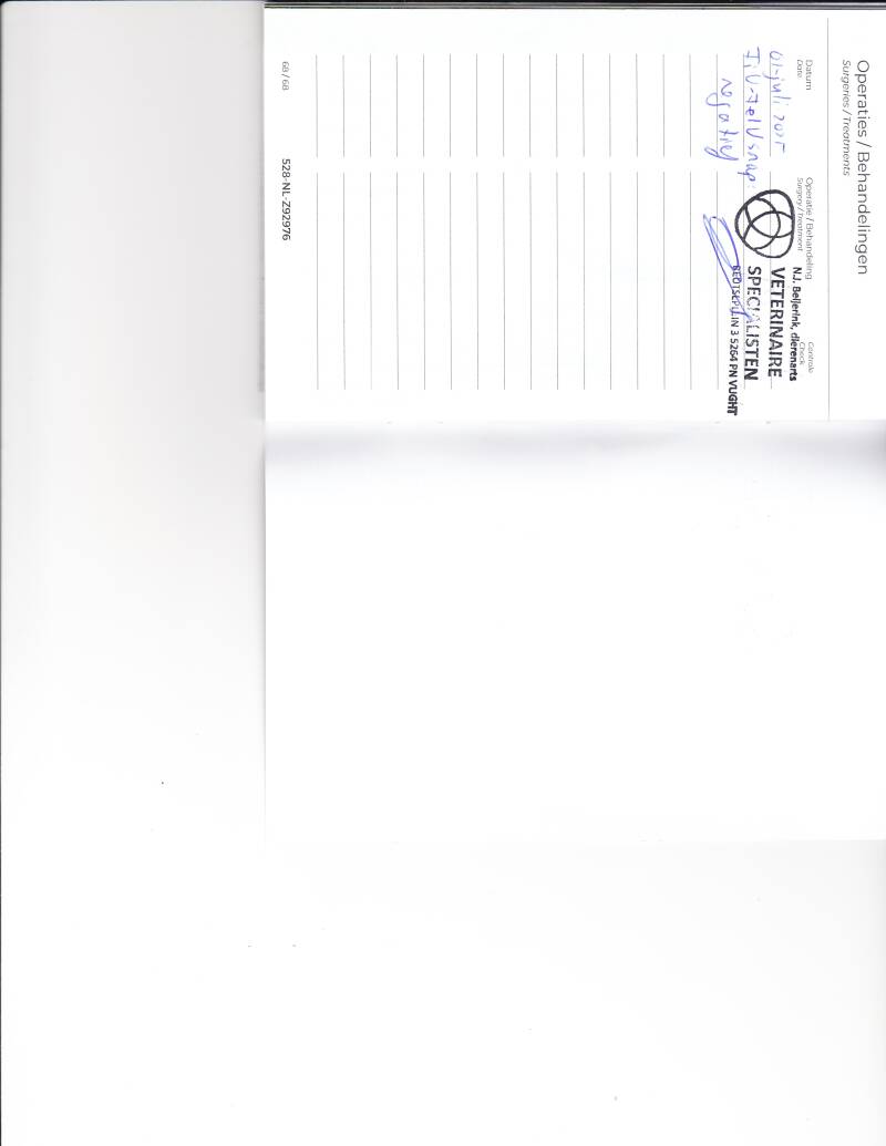 miny-felv-fiv-2025-standard.jpg