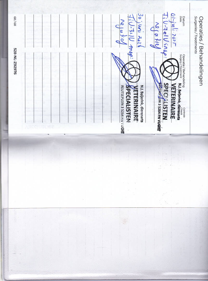 miny-felv-fiv-test-2026-standard.jpg