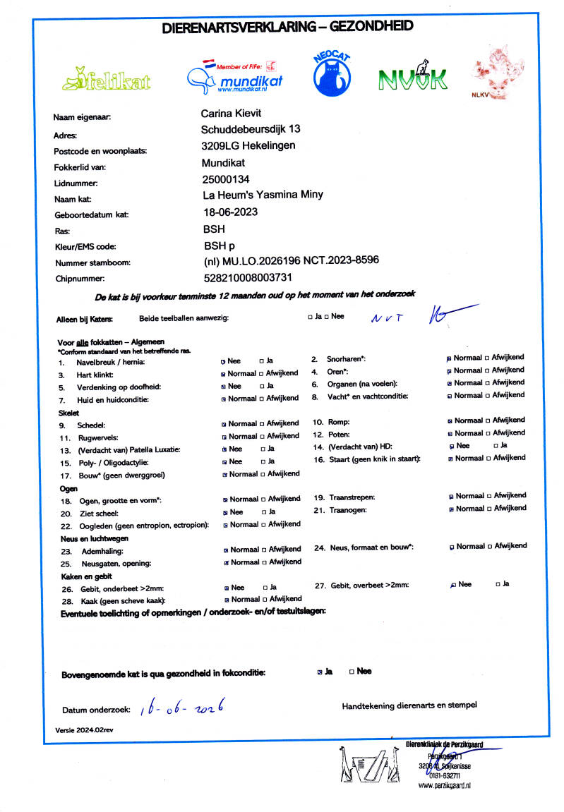miny-gezondheidsverklaring-standard-cb7obn.jpg