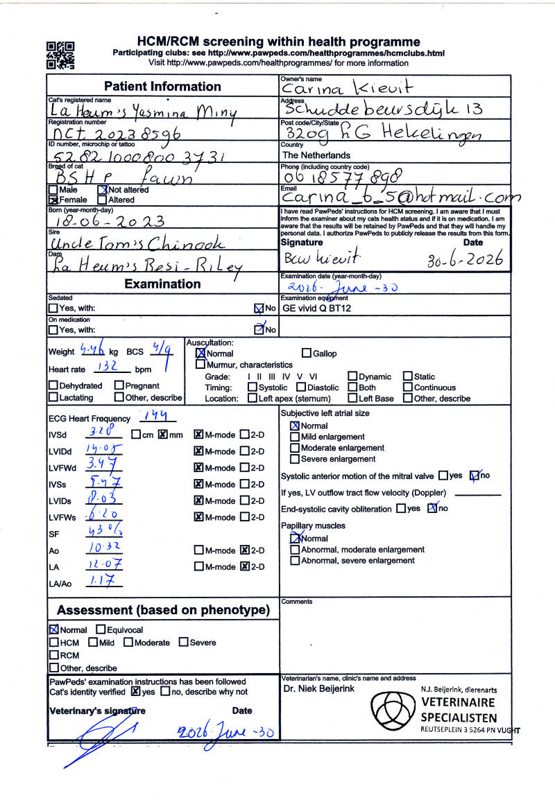 miny-hcm-test-2026-standard-mmb9x5.jpg
