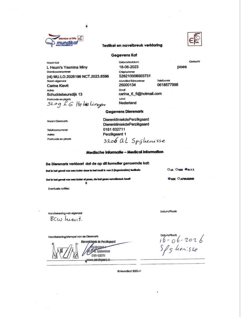 navelbreuk-verklaring-miny-standard-p29002.jpg