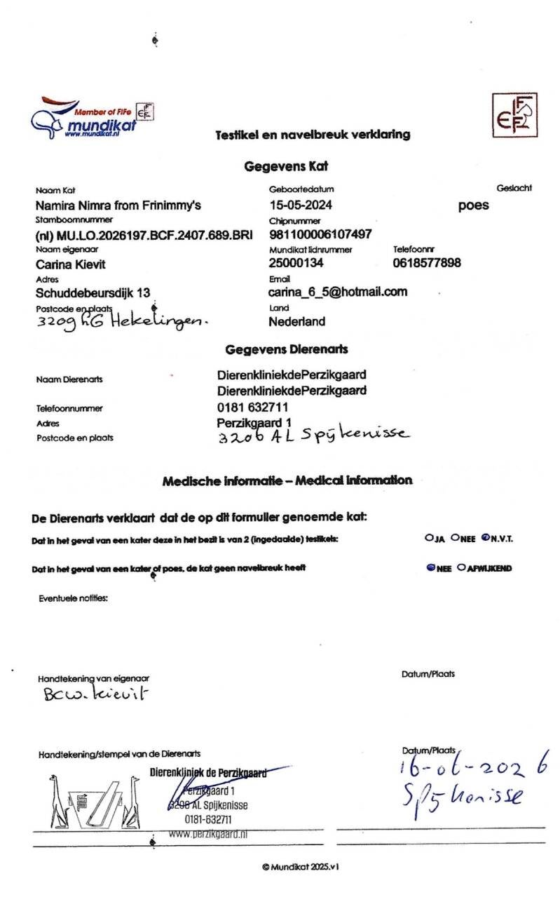navelbreuk-verklaring-nimra-standard.jpg
