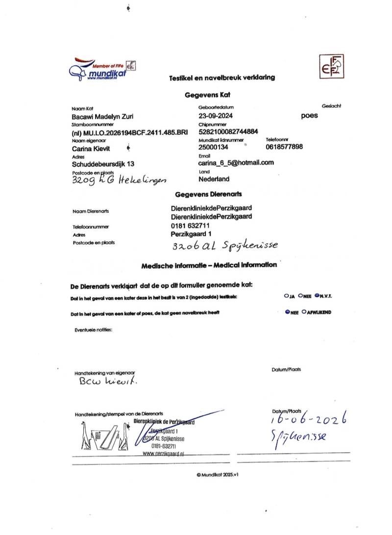 navelbreuk-verklaring-zuri-standard.jpg