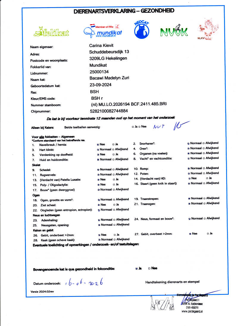 zuri-gezondheidsverklaring-standard.jpg