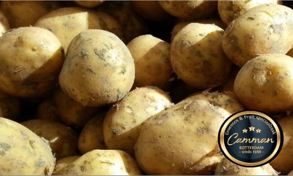 113 Frieslander aardappelen