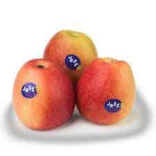 5455 Jazz appel
