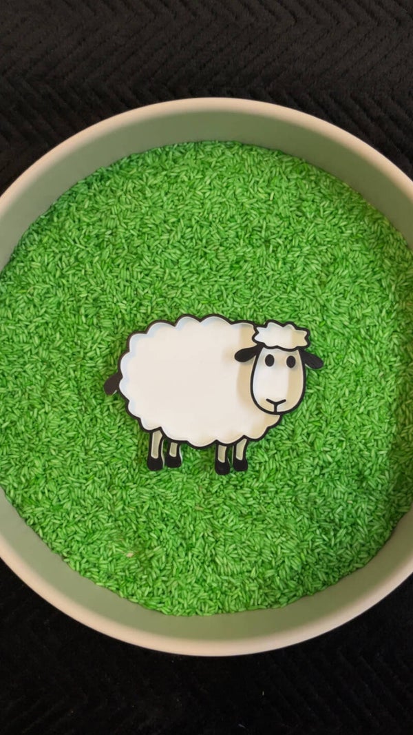 Vulvorm schaap