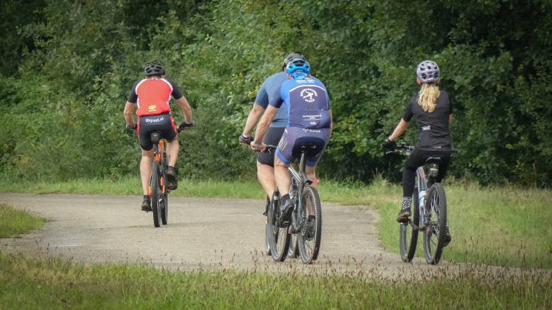 oph08909-standard-9etnmz.jpg
