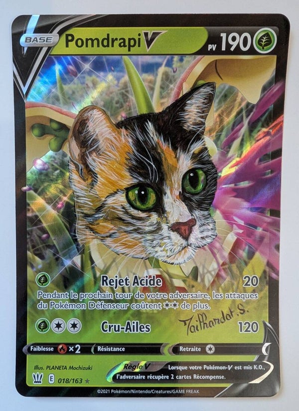 Artpaintercat sur Pokémon 01/200 année 2025