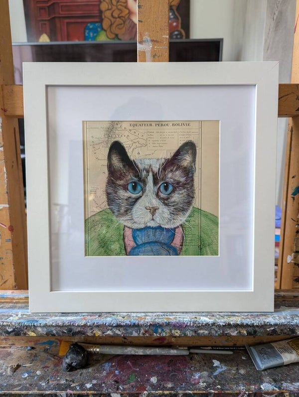 Chat aux yeux bleus